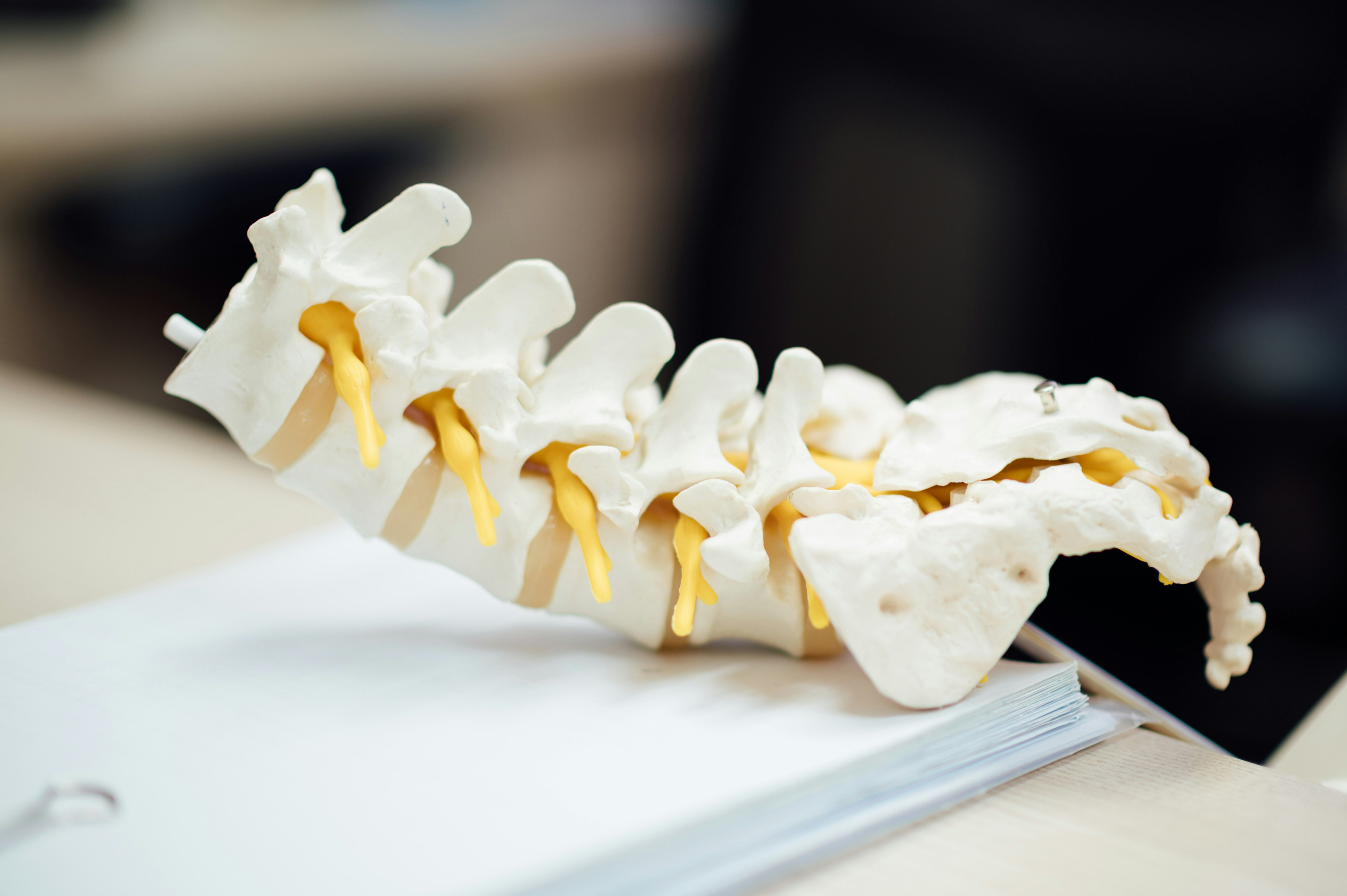 Spine Surgery